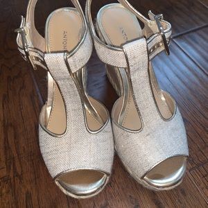 Antonio melani t-strap wedge